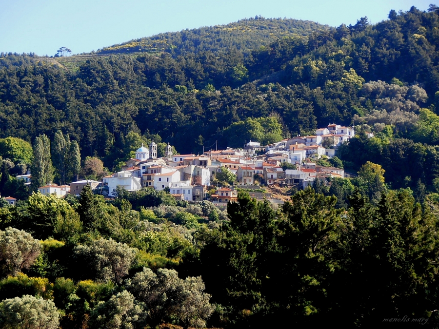 Παραδοσιακά σπίτια στην Καστανιά Σάμου, μέσα σε καταπράσινο τοπίο.