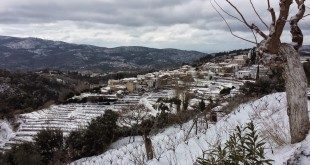 Παραδοσιακά σπίτια στο Πάνδροσο Σάμου με φόντο το πυκνό πράσινο του βουνού.
