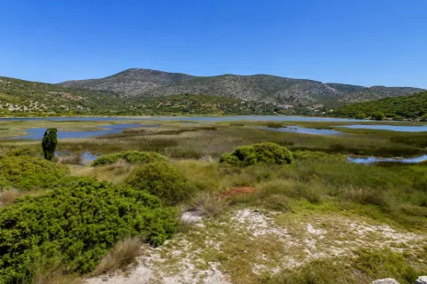 Psili Ammos Salt Marsh and protected wetland in Samos
