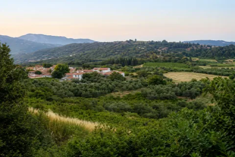 Das Dorf Sourides oberhalb von Karlovasi auf Samos, eingebettet in grüne Landschaft.