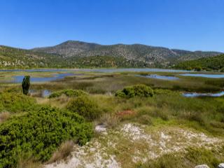 Psili Ammos Salt Marsh and protected wetland in Samos